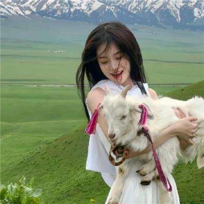 胡桃钳与奇幻四国